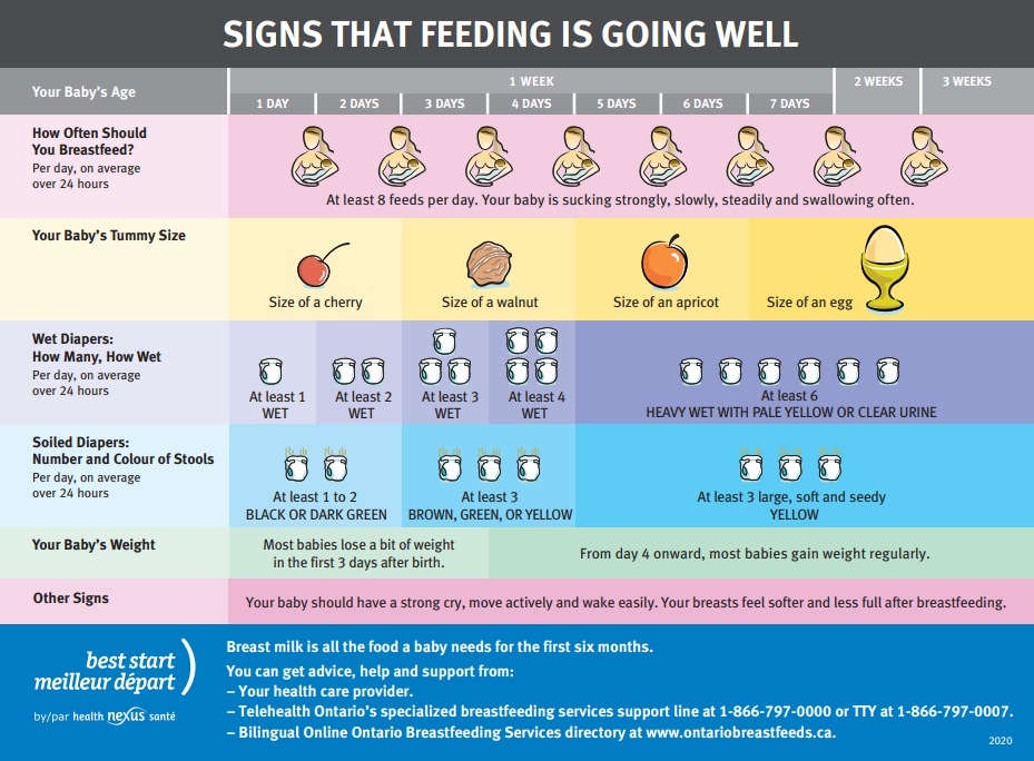 Signs that Feeding is Going Well